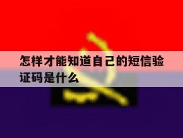 怎样才能知道自己的短信验证码是什么