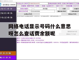 网络电话显示号码什么意思呀怎么查话费余额呢的简单介绍