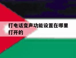 打电话变声功能设置在哪里打开的