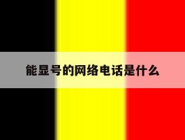 能显号的网络电话是什么