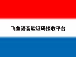 飞鱼语音验证码接收平台