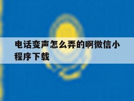 电话变声怎么弄的啊微信小程序下载