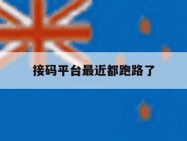 关于接码平台最近都跑路了的信息