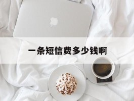 一条短信费多少钱啊