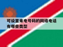 关于可设置来电号码的网络电话有哪些类型的信息