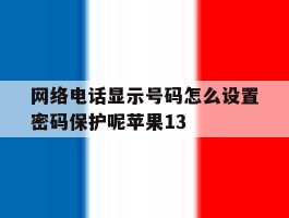 包含网络电话显示号码怎么设置密码保护呢苹果13的词条