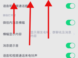 微信电话变声器怎么弄的