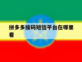 拼多多接码短信平台在哪里看