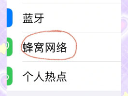 网络电话打出去显示号码吗怎么回事啊苹果13的简单介绍