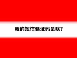 我的短信验证码是啥?